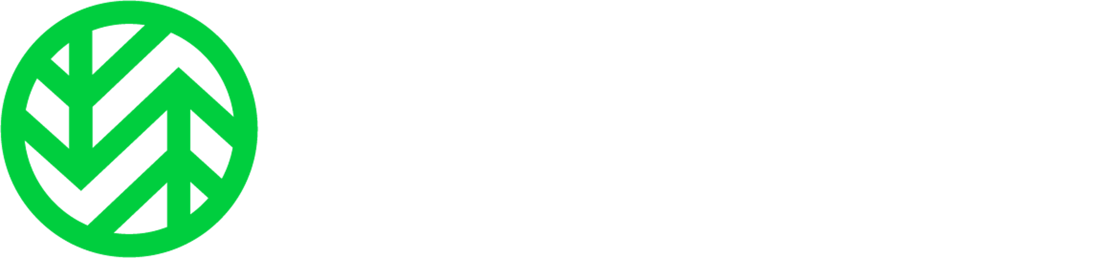 Wasabi Logo Secondary