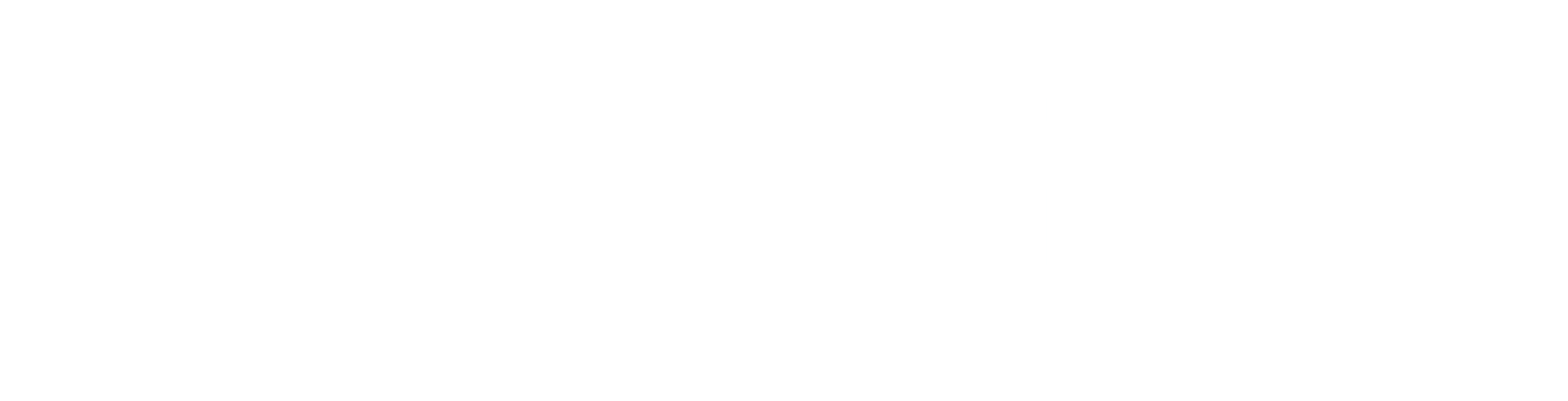 Brut-carousel-logo