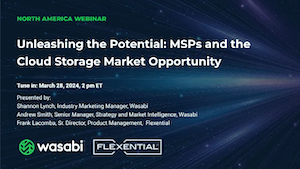 Unleashing the Potential: MSPs and the Cloud Storage Market Opportunity