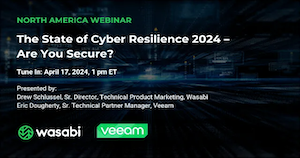 The State of Cyber Resilience 2024 – Are You Secure?